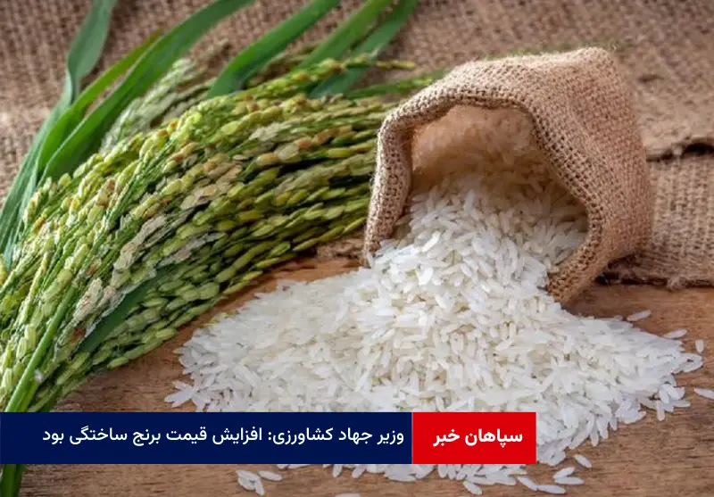 وزیر جهاد کشاورزی: افزایش قیمت برنج ساختگی بود