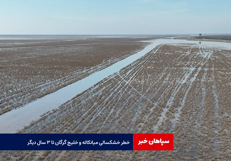 خطر خشکسالی میانکاله و خلیج گرگان تا ۳ سال دیگر