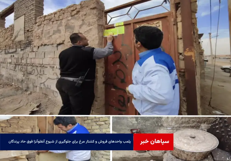 پلمب واحدهای فروش و کشتار مرغ برای جلوگیری از شیوع آنفلوآنزا فوق حاد پرندگان