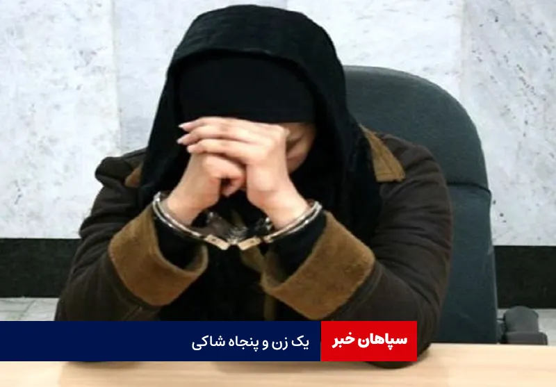 یک زن و پنجاه شاکی