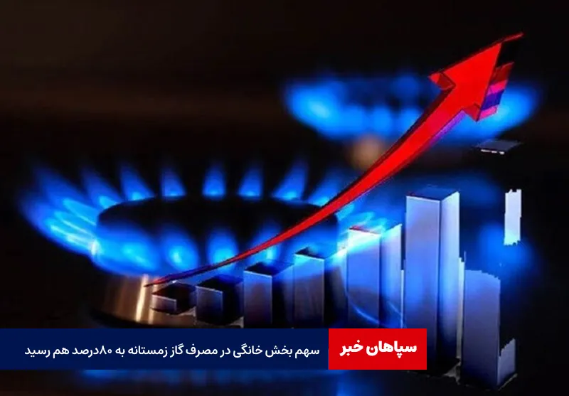 سهم بخش خانگی در مصرف گاز زمستانه به ۸۰درصد هم رسید