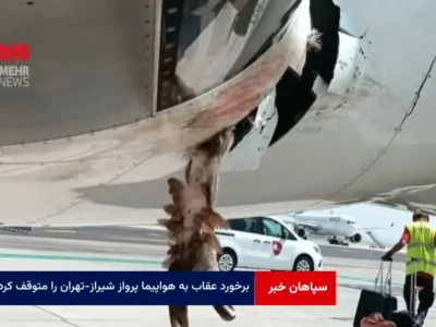برخورد عقاب به هواپیما پرواز شیراز-تهران را متوقف کرد