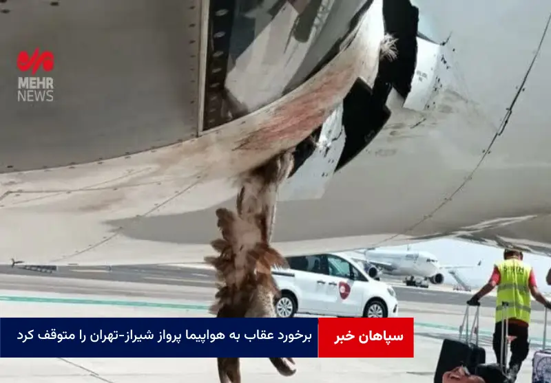 برخورد عقاب به هواپیما پرواز شیراز-تهران را متوقف کرد
