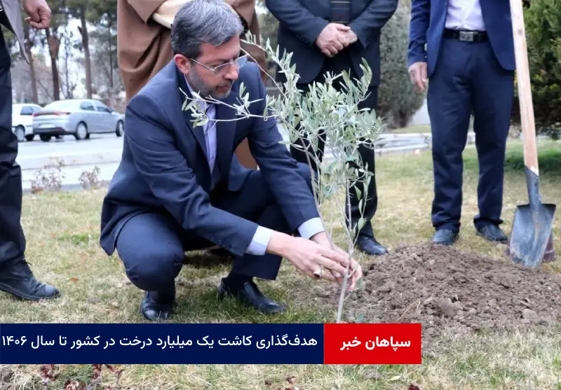 هدف‌گذاری کاشت یک میلیارد درخت در کشور تا سال ۱۴۰۶ تأکید بر افزایش سرانه فضای سبز در استان اصفهان