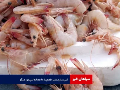 غنی‌سازی شیر طعم‌دار با عصاره لیپیدی میگو