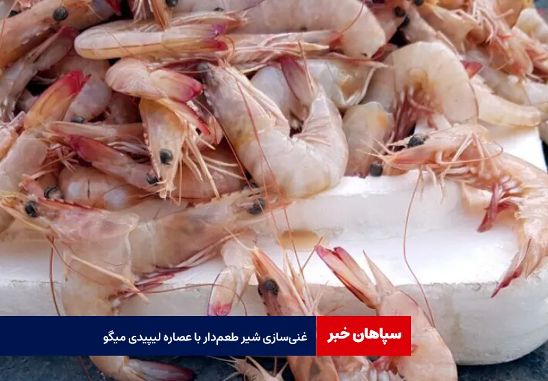 غنی‌سازی شیر طعم‌دار با عصاره لیپیدی میگو