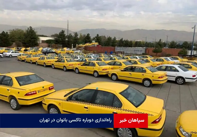 راهاندازی دوباره تاکسی بانوان در تهران