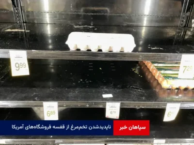 ناپدید شدن تخم‌ مرغ‌ از قفسه فروشگاه‌های آمریکا