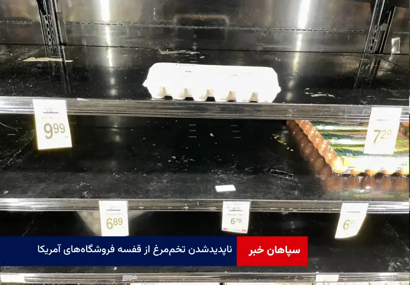 ناپدید شدن تخم‌ مرغ‌ از قفسه فروشگاه‌های آمریکا