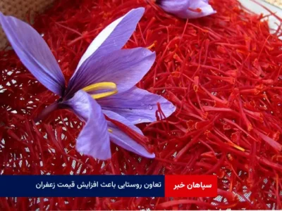 تعاون روستایی باعث افزایش قیمت زعفران