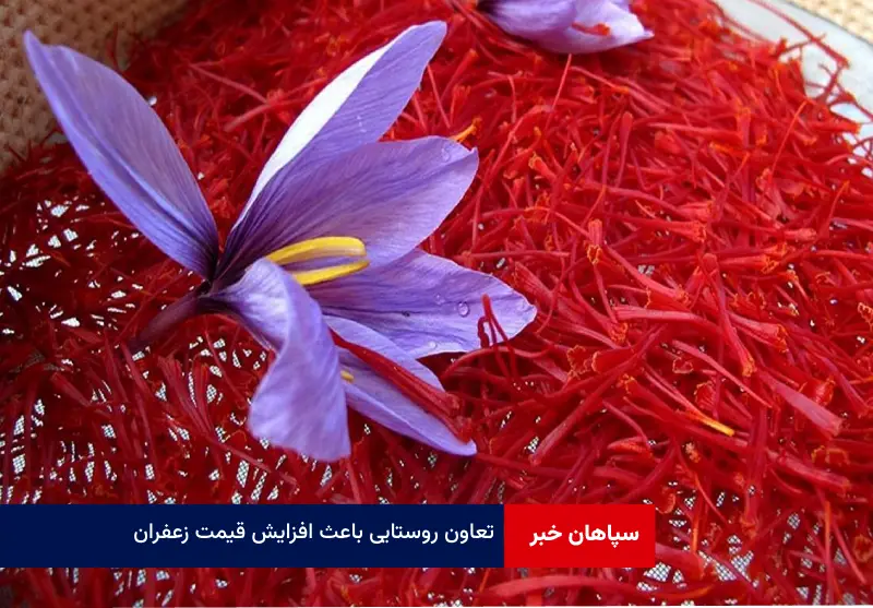 تعاون روستایی باعث افزایش قیمت زعفران