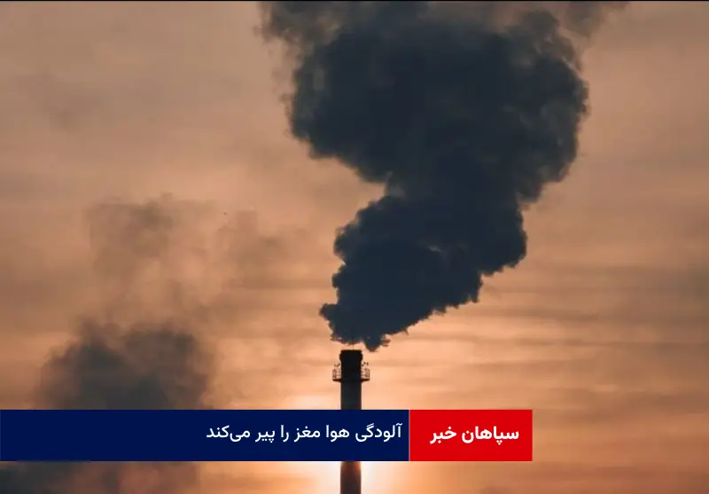 آلودگی هوا مغز را پیر می‌کند!