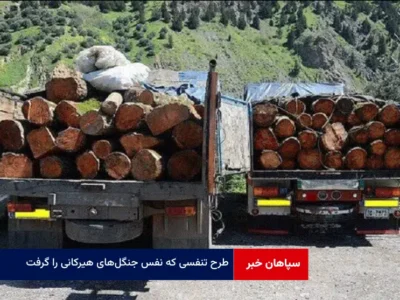 طرح تنفسی که نفس جنگل‌های هیرکانی را گرفت