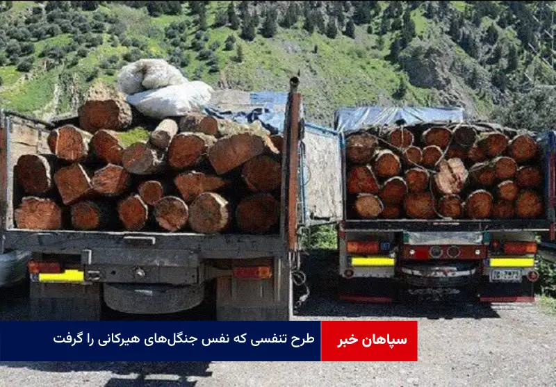 طرح تنفسی که نفس جنگل‌های هیرکانی را گرفت