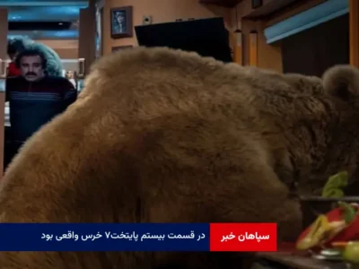 در قسمت بیستم پایتخت ۷ خرس واقعی بود