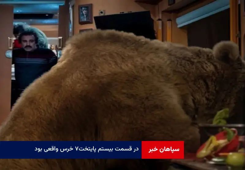 در قسمت بیستم پایتخت ۷ خرس واقعی بود