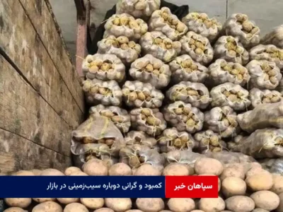 کمبود و گرانی دوباره سیب‌زمینی در بازار