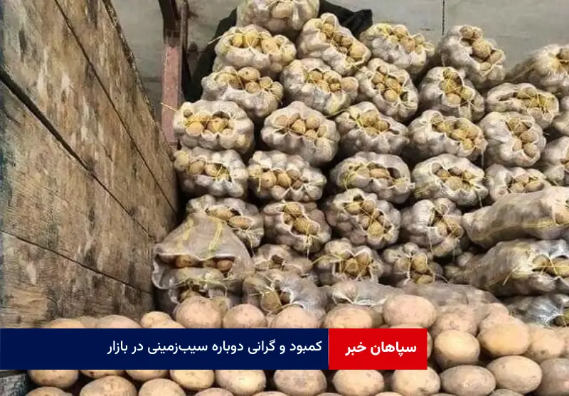 کمبود و گرانی دوباره سیبزمینی در بازار