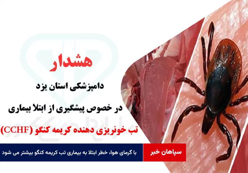 با گرمای هوا، خطر ابتلا به بیماری تب کریمه کنگو بیشتر می شود