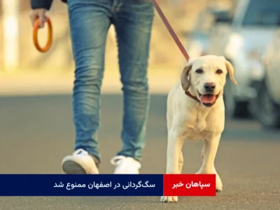 طرح ضربتی برای حفظ حقوق شهروندان و ارتقاء بهداشت عمومی سگ‌گردانی در اصفهان ممنوع شد
