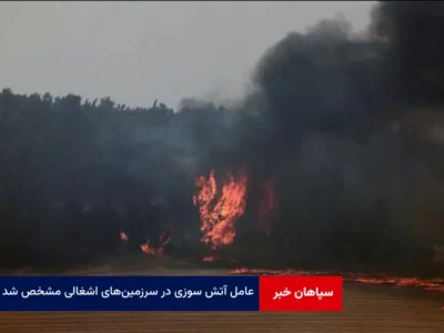 عامل آتش سوزی در سرزمین‌های اشغالی مشخص شد