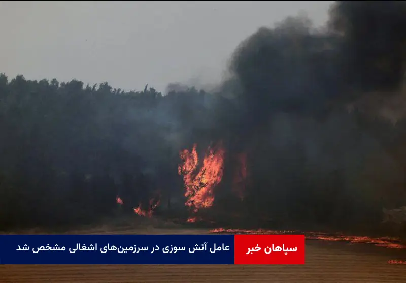 عامل آتش سوزی در سرزمینهای اشغالی مشخص شد