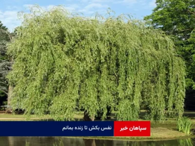 نفس بکش تا زنده بمانم