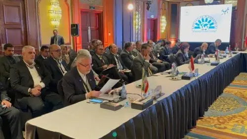 اجلاس قاهره، کشورهای D۸، استراتژی ایران و«هلال ماه»