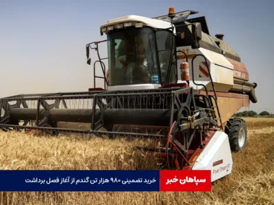 خرید تضمینی ۹۸۰ هزار تن گندم از آغاز فصل برداشت