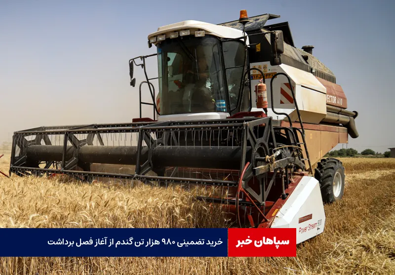 خرید تضمینی ۹۸۰ هزار تن گندم از آغاز فصل برداشت