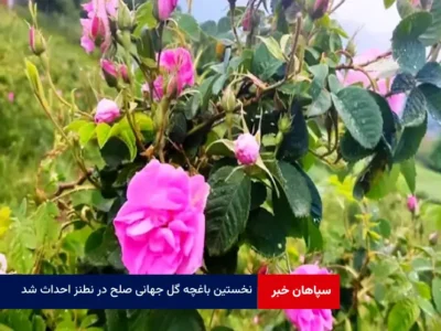 نخستین باغچه گل جهانی صلح در نطنز احداث شد