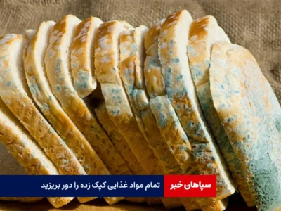 تمام مواد غذایی کپک زده را دور بریزید