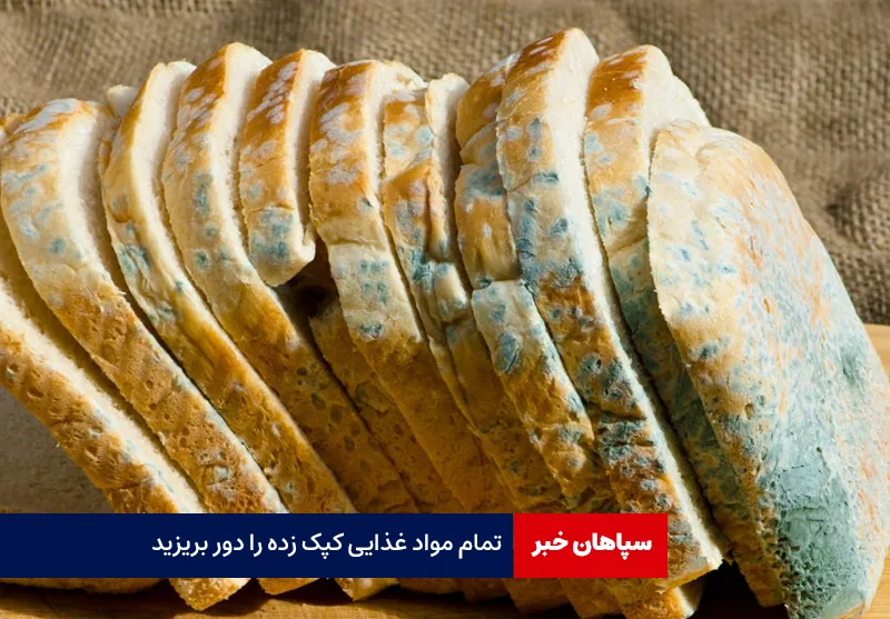 تمام مواد غذایی کپک زده را دور بریزید