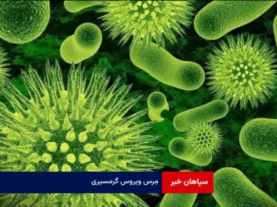 مِرس ویروس گرمسیری