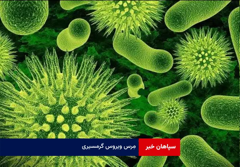 مِرس ویروس گرمسیری