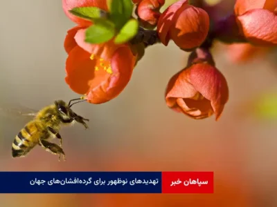 تهدید‌های نوظهور برای گرده‌افشان‌های جهان