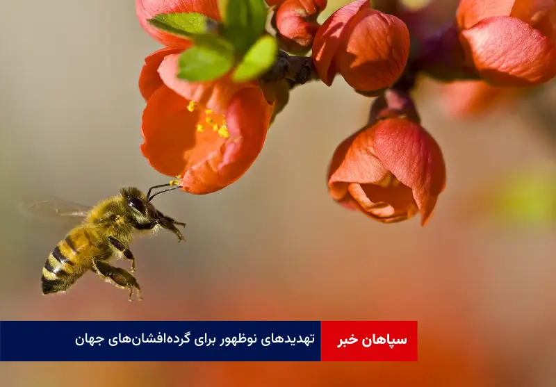 تهدید‌های نوظهور برای گرده‌افشان‌های جهان