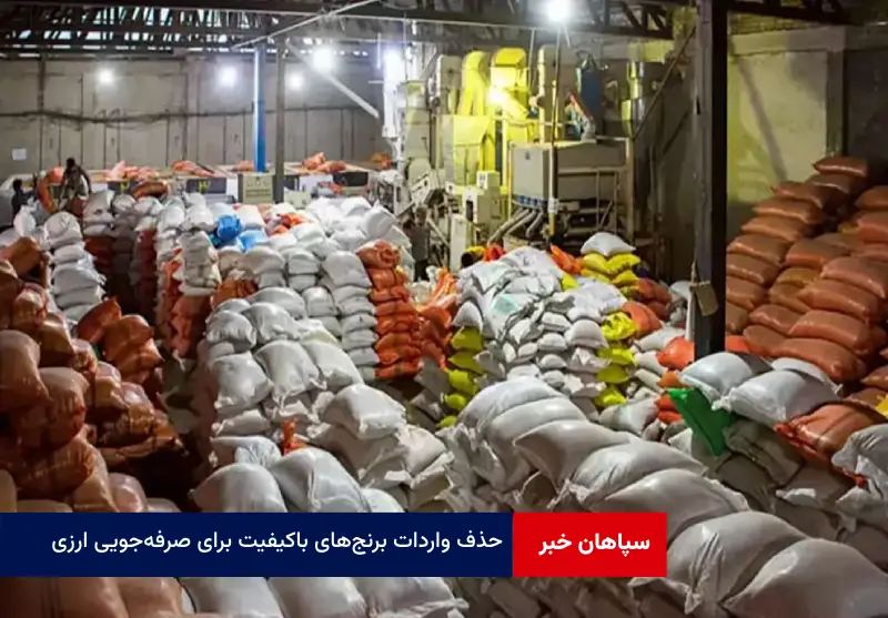 حذف واردات برنجهای باکیفیت برای صرفهجویی ارزی