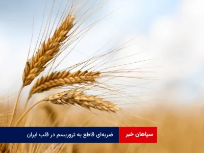 نگرانی از کمبود گندم بی‌مورد است