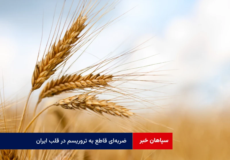 نگرانی از کمبود گندم بی‌مورد است
