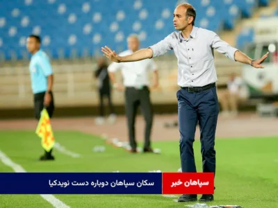 سکان سپاهان دوباره دست نویدکیا