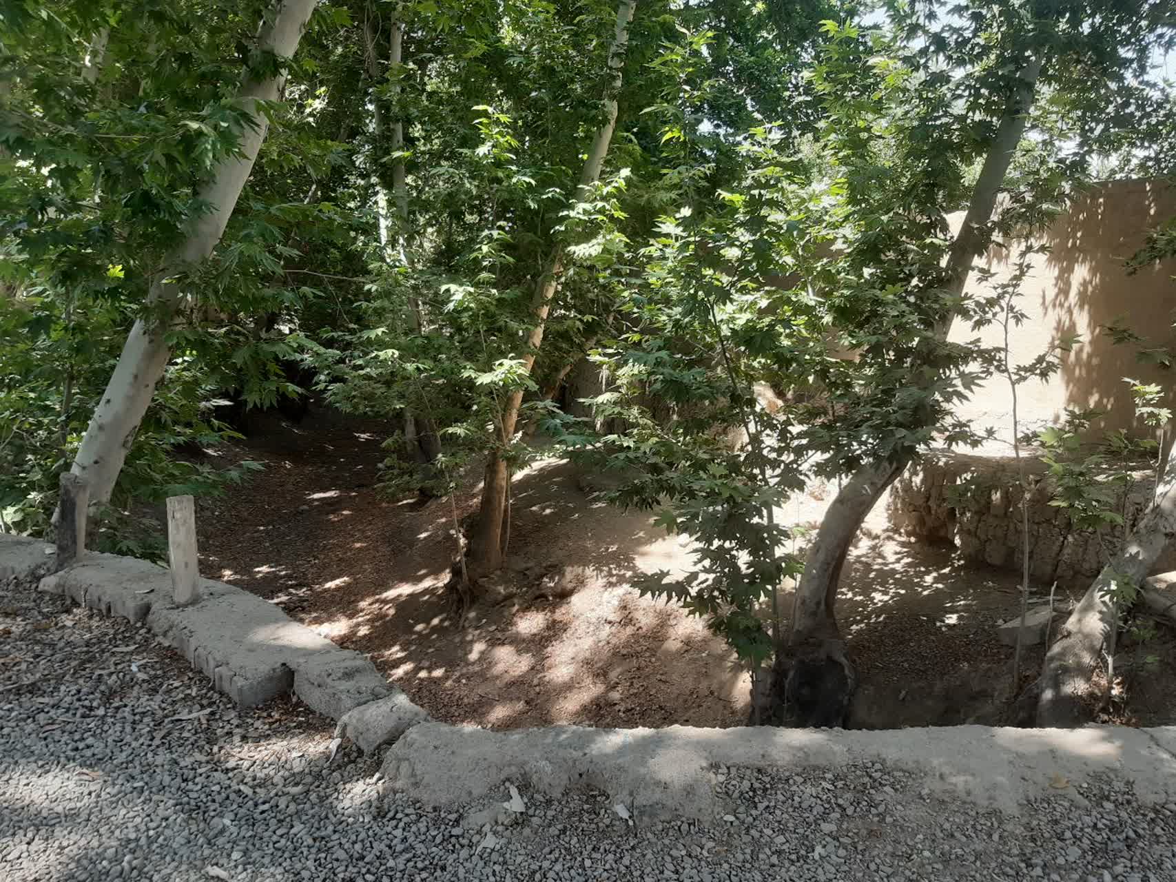 photo18924128632