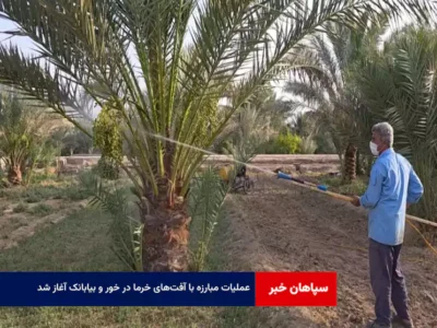 عملیات مبارزه با آفت‌های خرما در خور و بیابانک آغاز شد