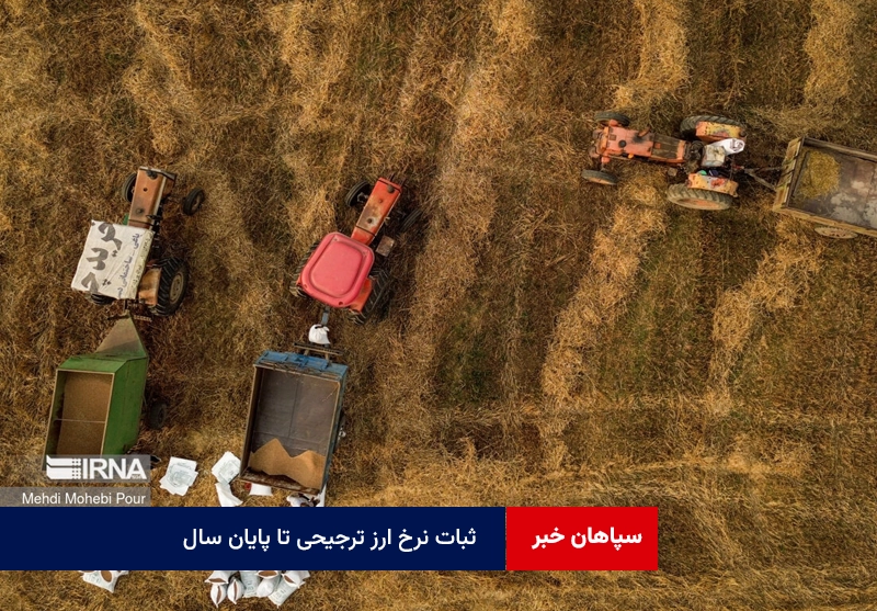 ثبات نرخ ارز ترجیحی تا پایان سال