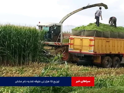 توزیع ۱۵ هزار تن علوفه تغذیه دام عشایر اصفهان تا پایان سال
