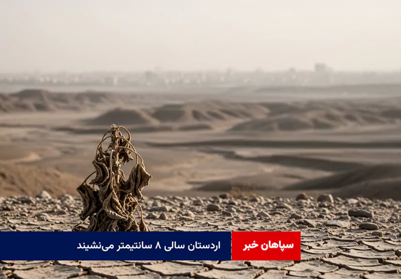 اردستان سالی ۸ سانتیمتر می‌نشیند