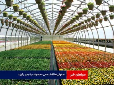 اصفهانی‌ها آفتاب‌دهی محصولات را جدی بگیرند