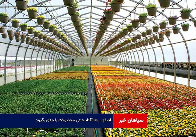 اصفهانی‌ها آفتاب‌دهی محصولات را جدی بگیرند