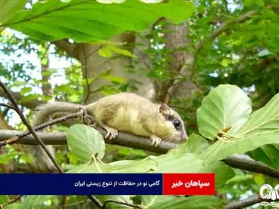 گامی نو در حفاظت از تنوع زیستی ایران
