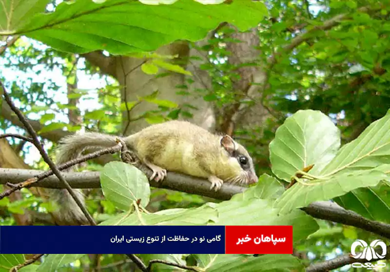 گامی نو در حفاظت از تنوع زیستی ایران